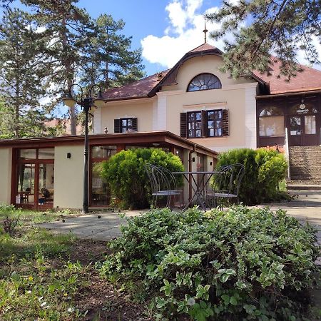 Imola Garden Vendeghaz Hotel Balatonfured Exterior photo